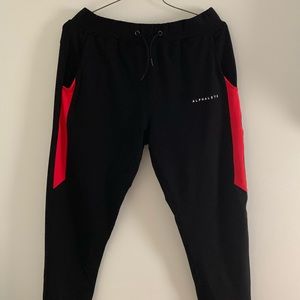 Alphalete Premium Quad Joggers